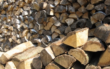 Sawmill_1