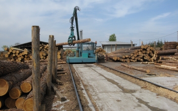 Sawmill_8